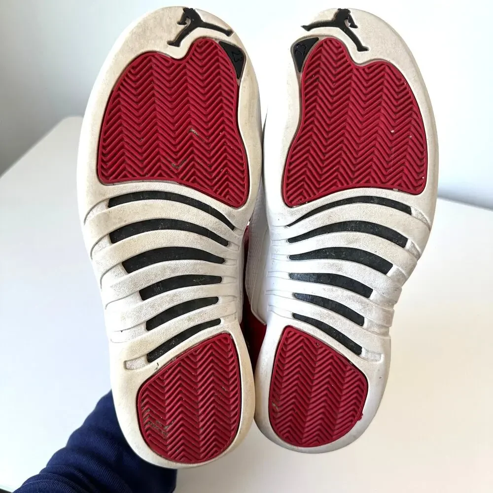 Jordan retro 12